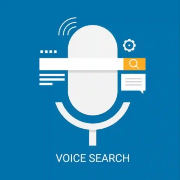 voice search 2 insights digital marketing expert in calicut